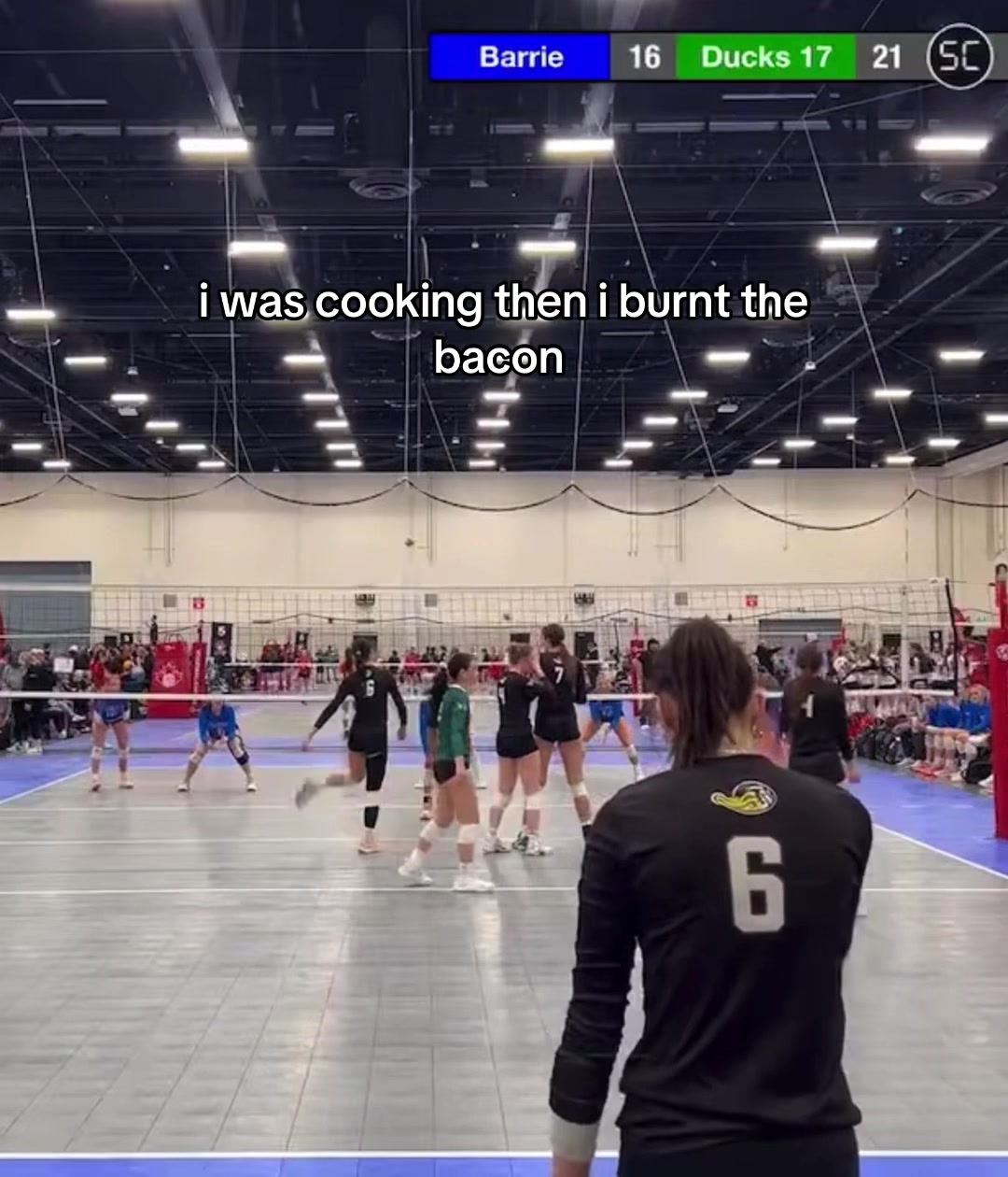 @maya