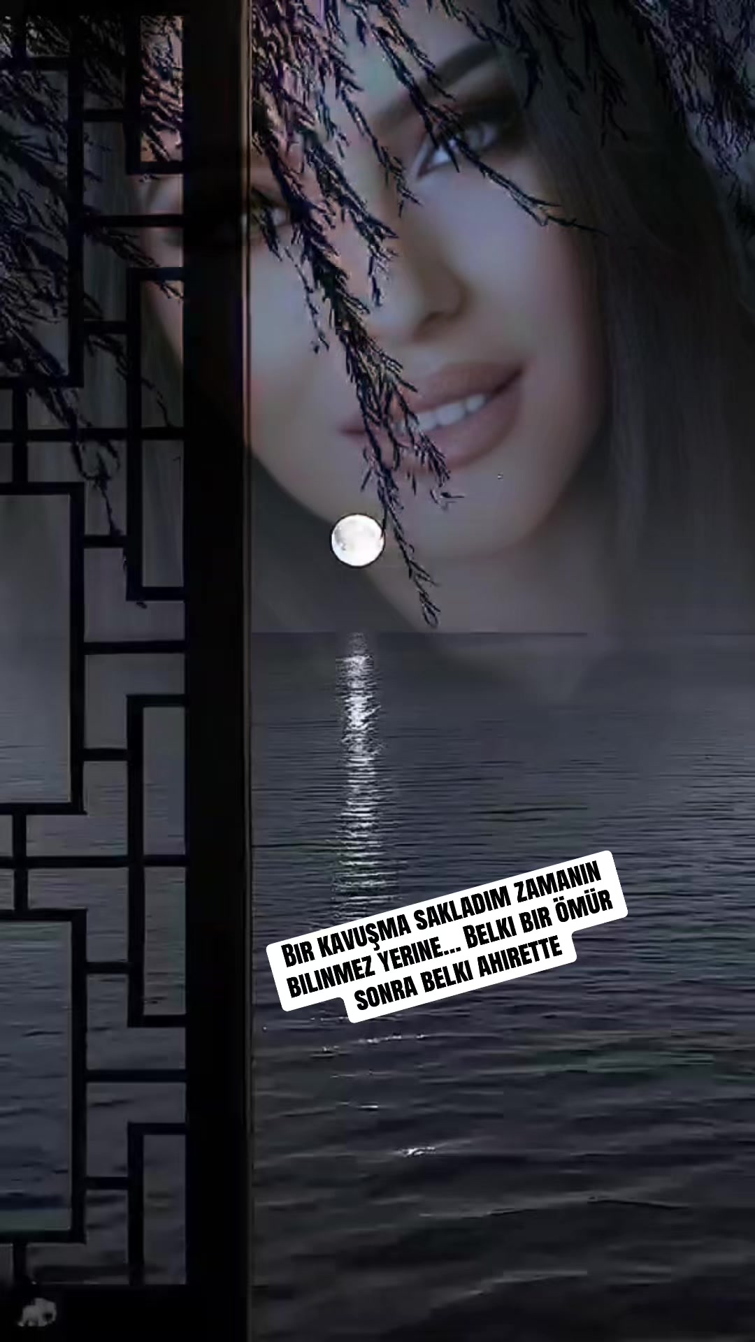 @𝐀𝐲🌙