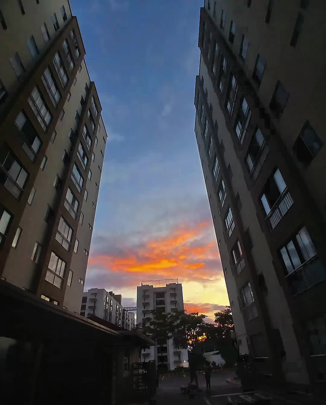 @𝑫𝑴_𝑪𝑼𝑴𝑩𝑰𝑨𝑺