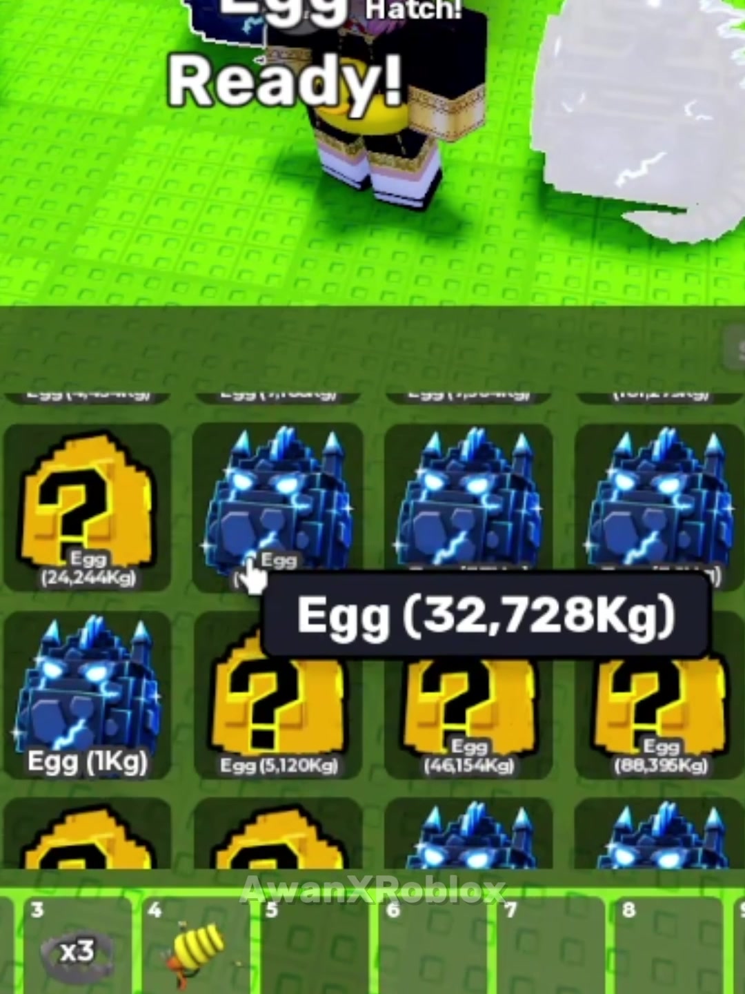 @AwanXRoblox