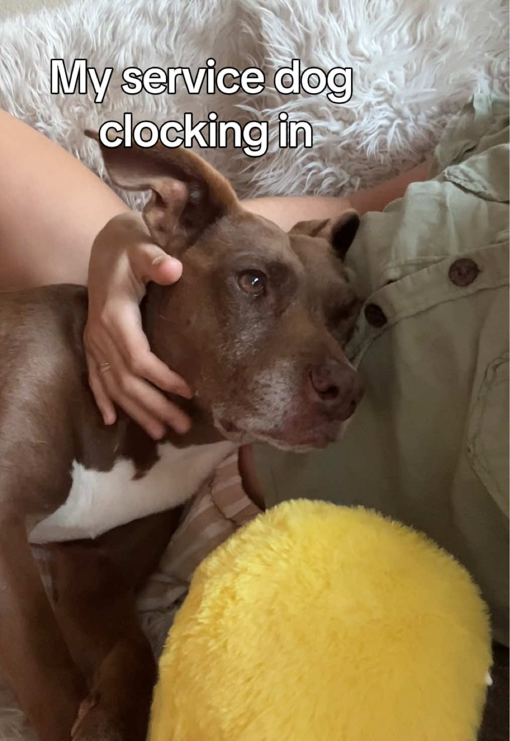 @colleen
