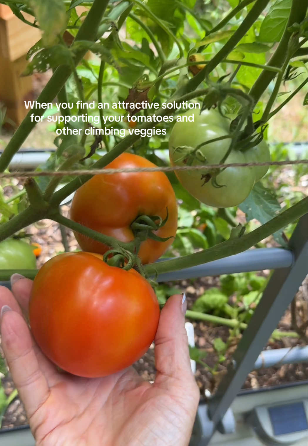 @The Ever Hopeful Gardener