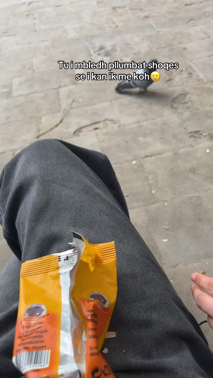@💎