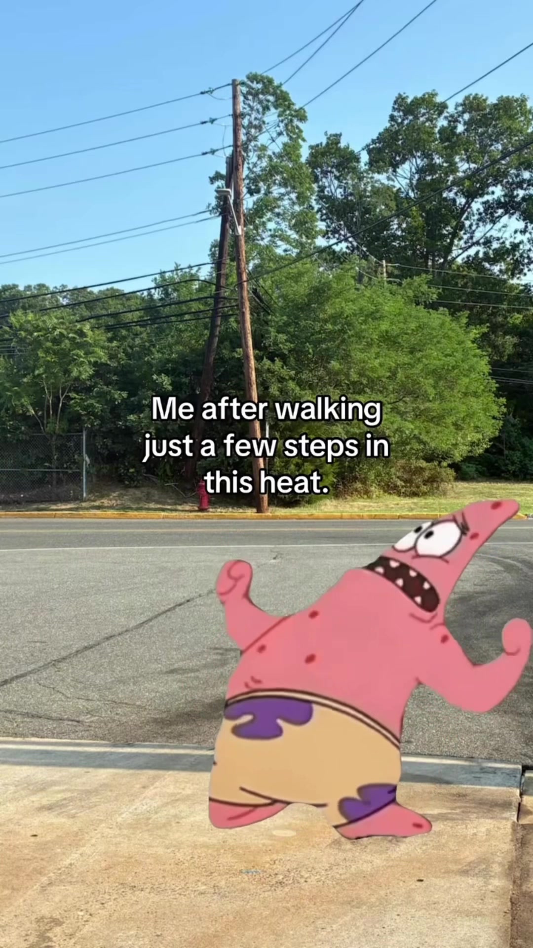 @301_Polo