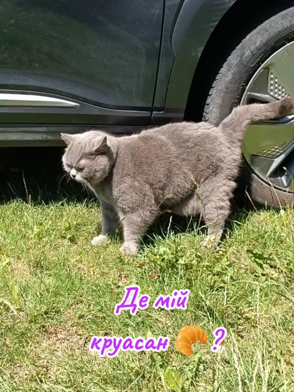 @Svitlana