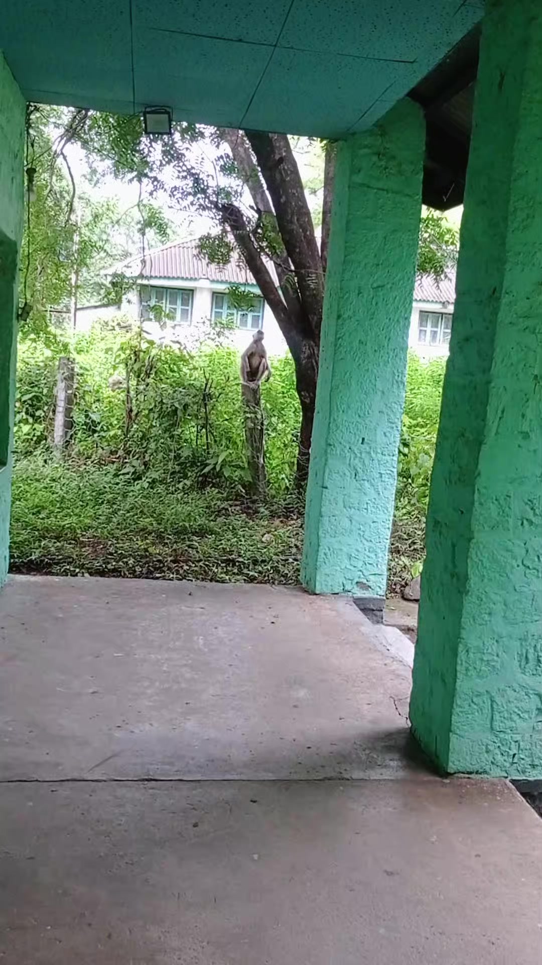 @Puspa Bhatta