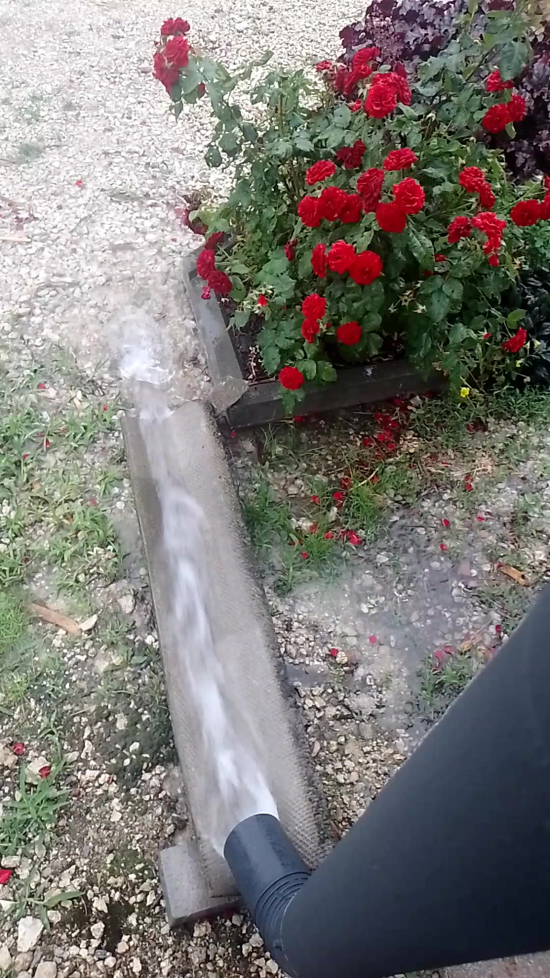 @💙Леся💛