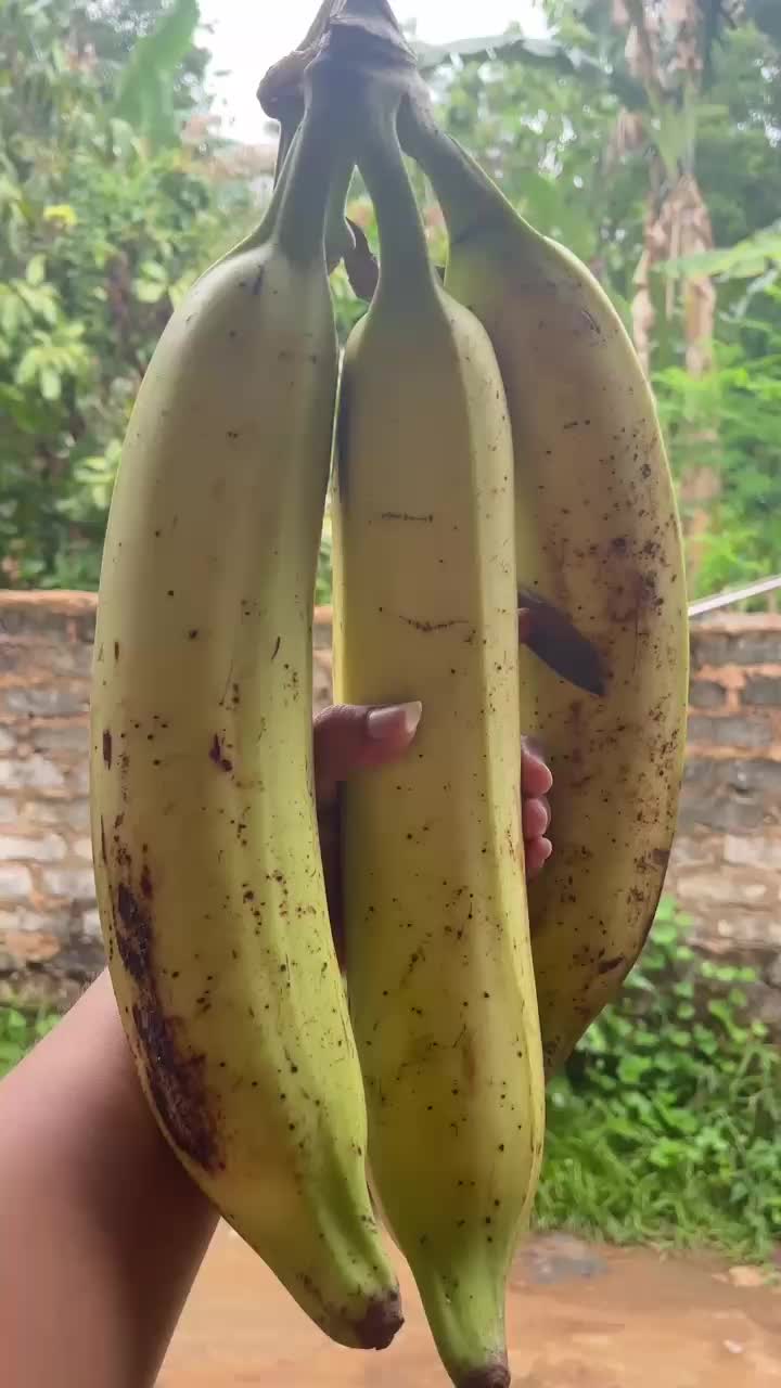 @royzikin_ahmad