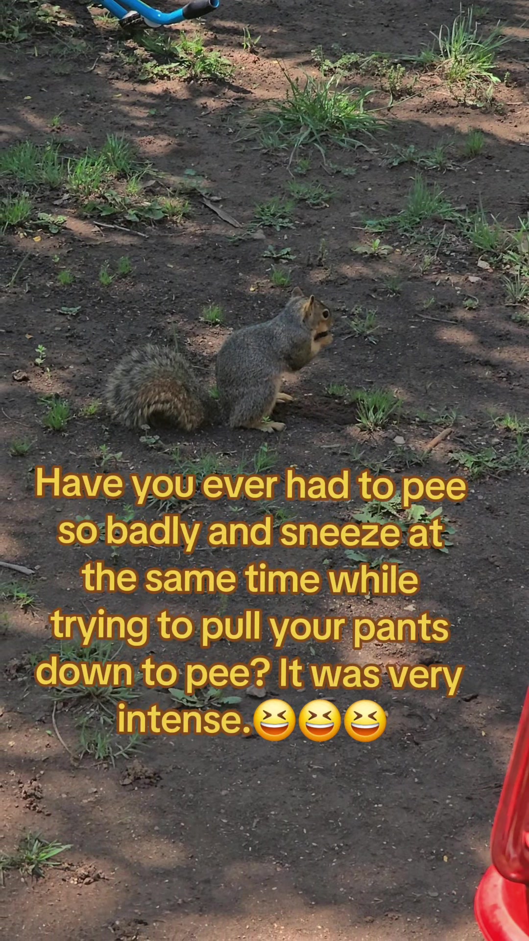 @Grannyconcon72 ❌️