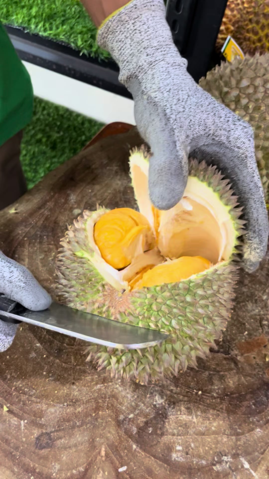 @CICIP DURIAN