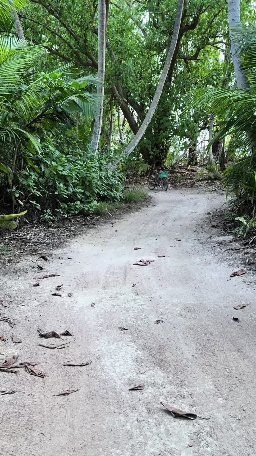@Sabrina 🌴 Seychelles Life