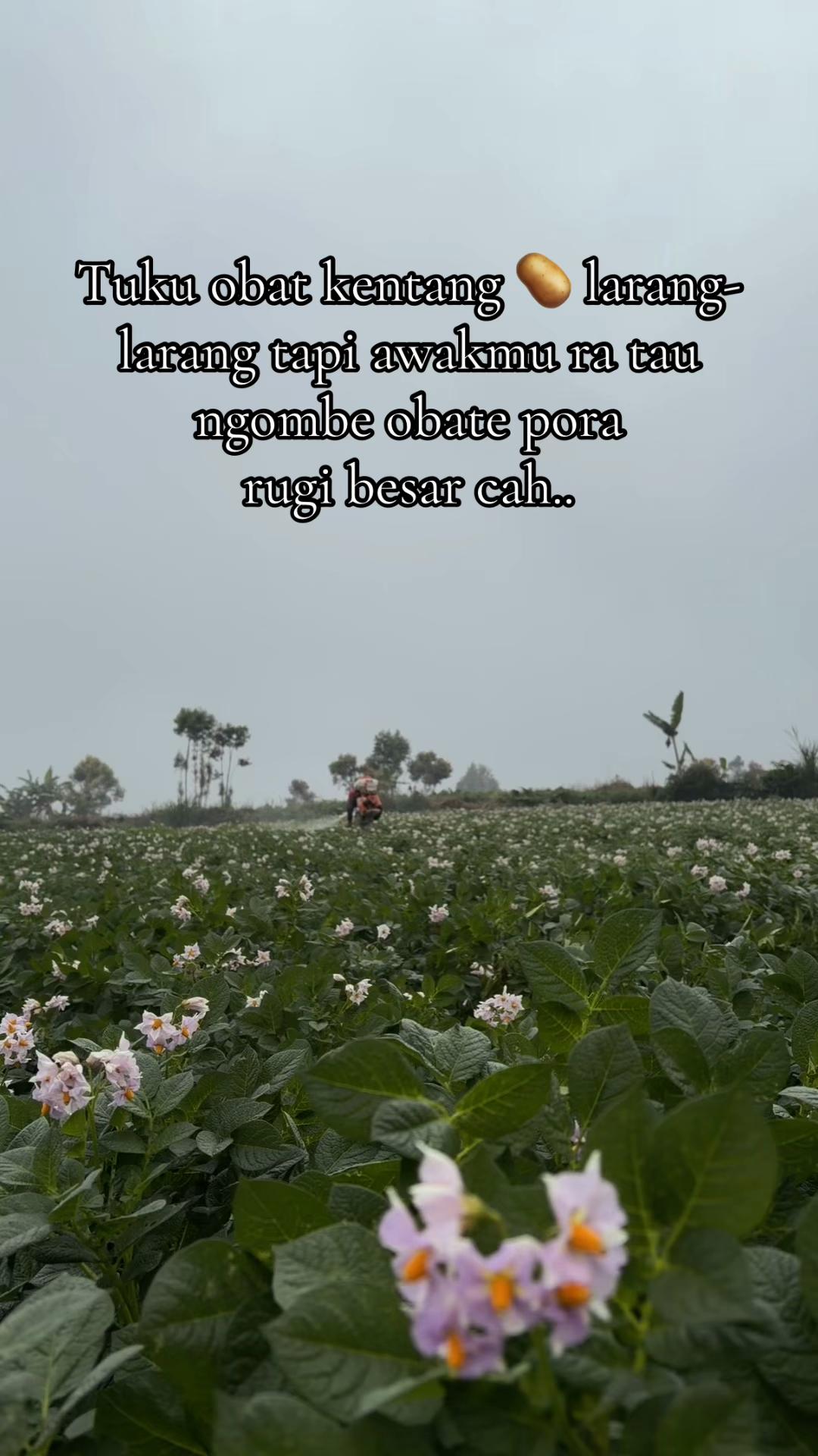 @nanda_setiawan_
