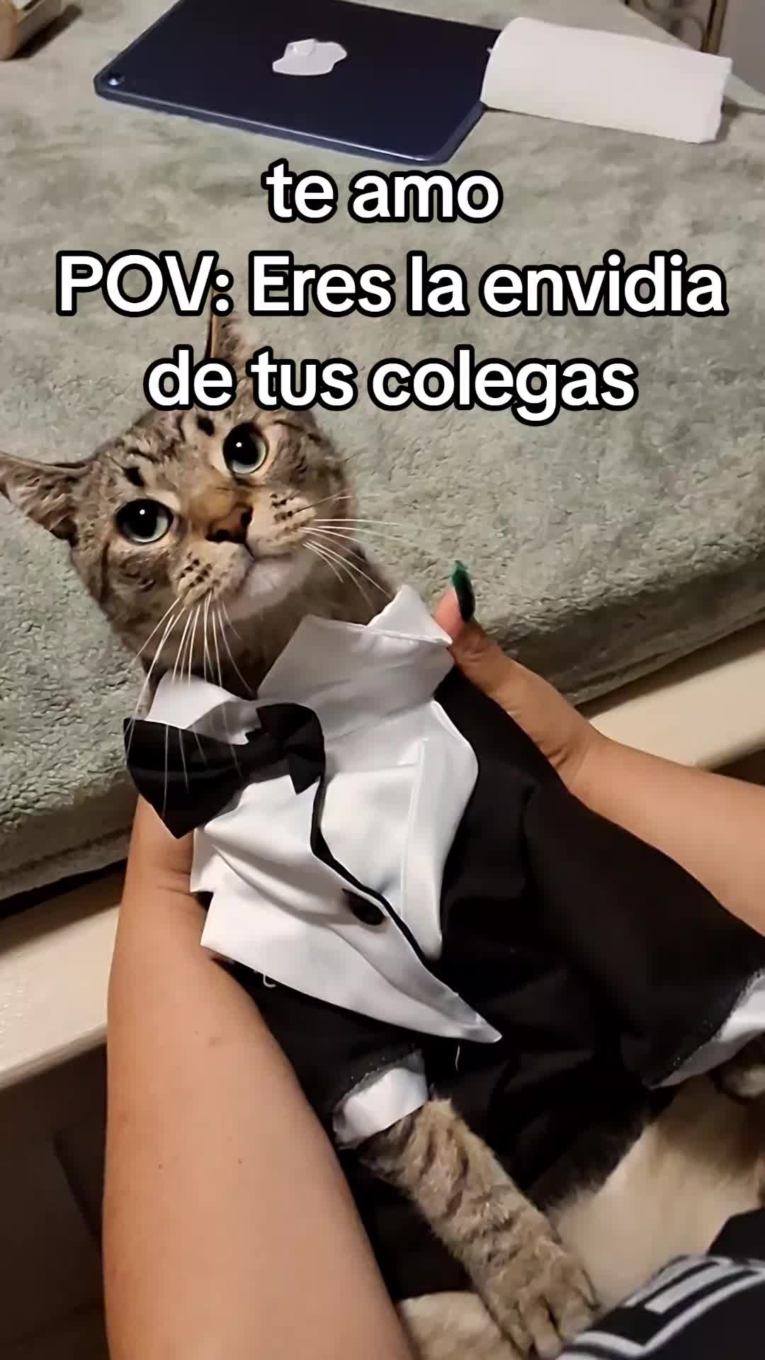 @Mamagatera20