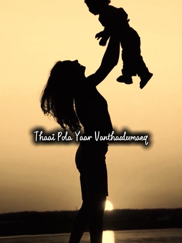 @Best Videos Song Bgm 🎶
