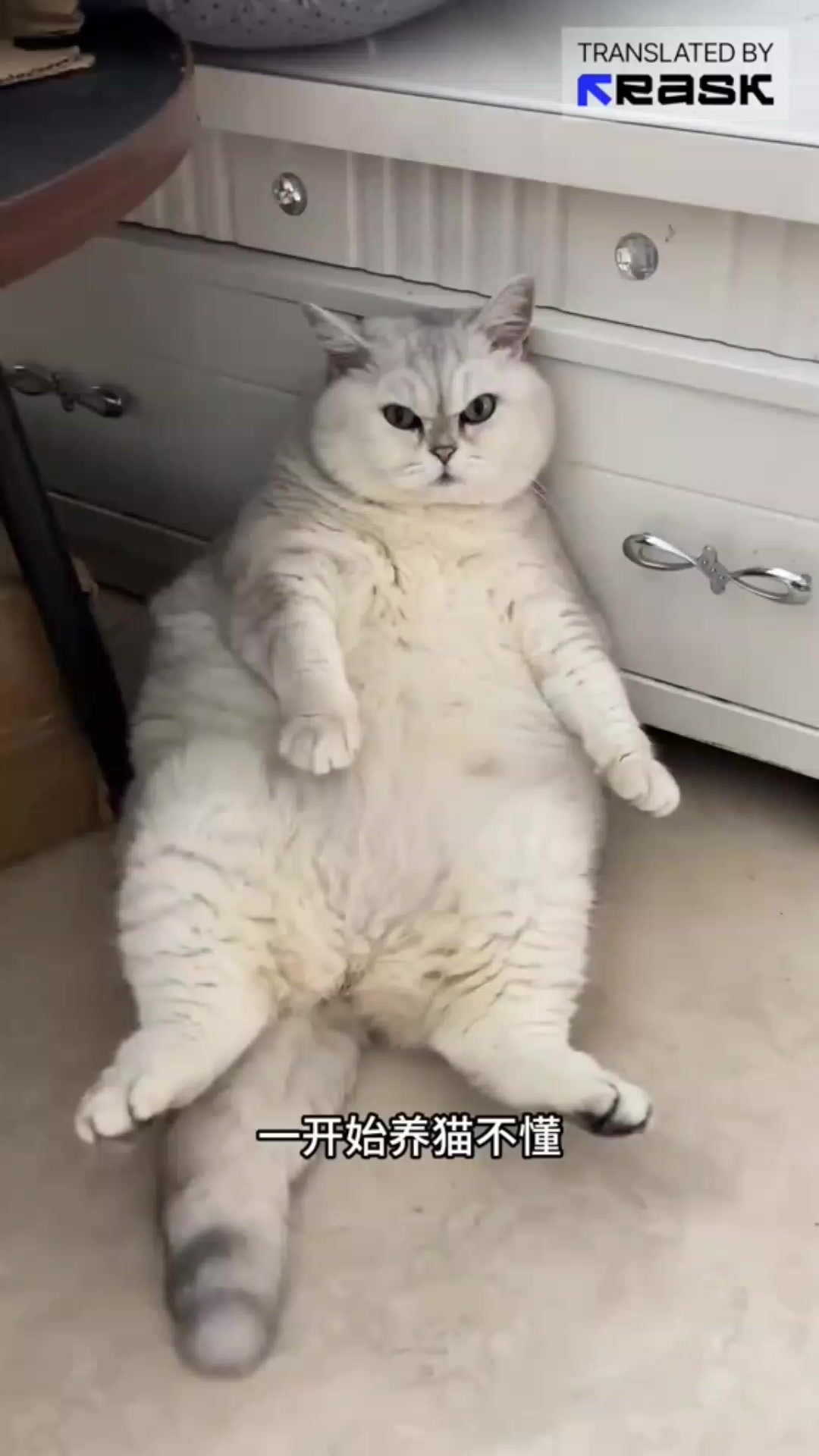 @♫⃠КишечныйПорох37 [@🆘]