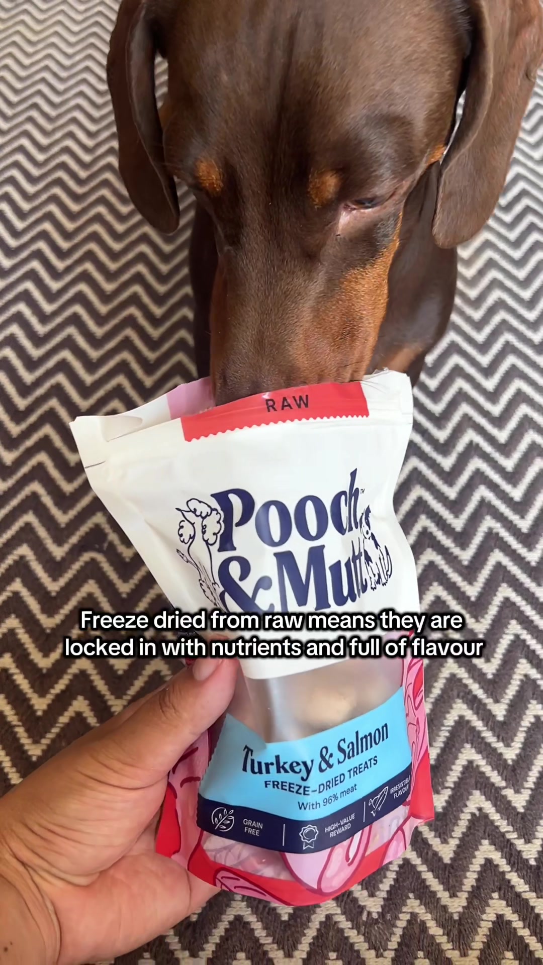 @sir_reggiethesausage