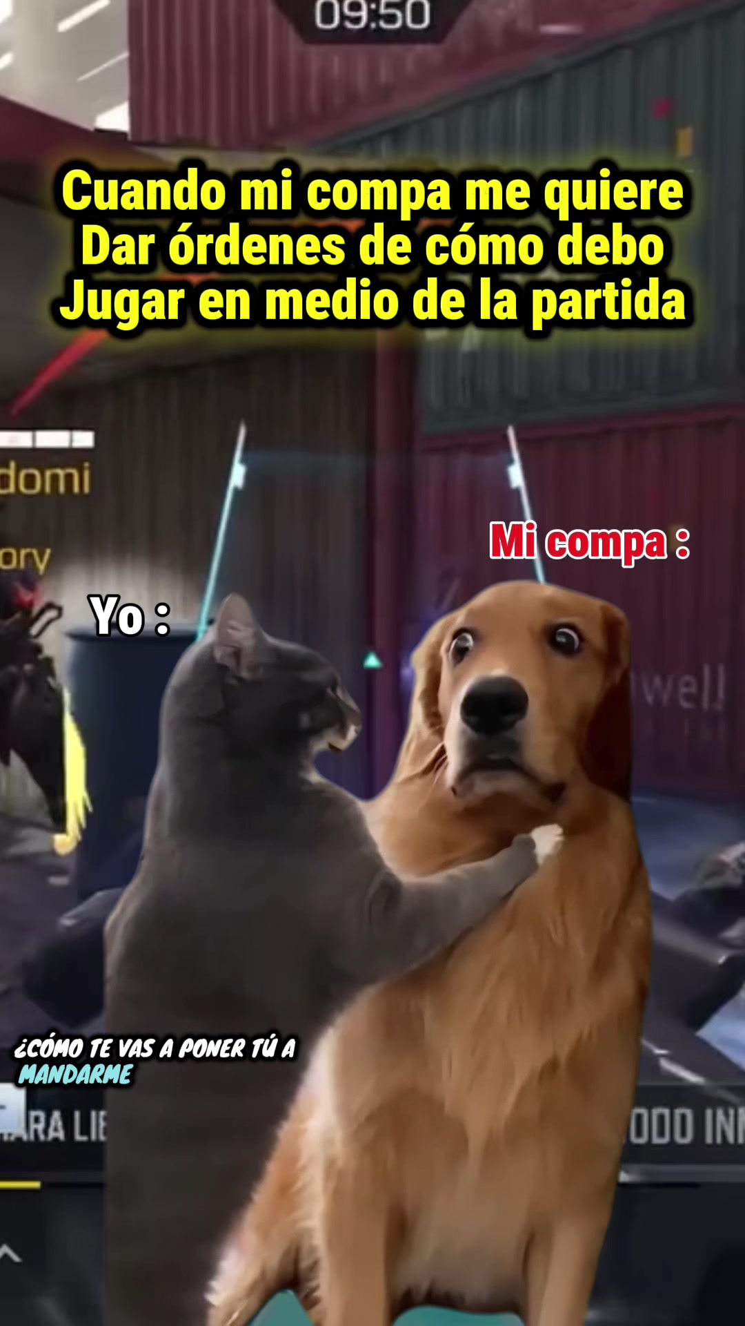 @Aras