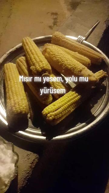 @AYPARCASI