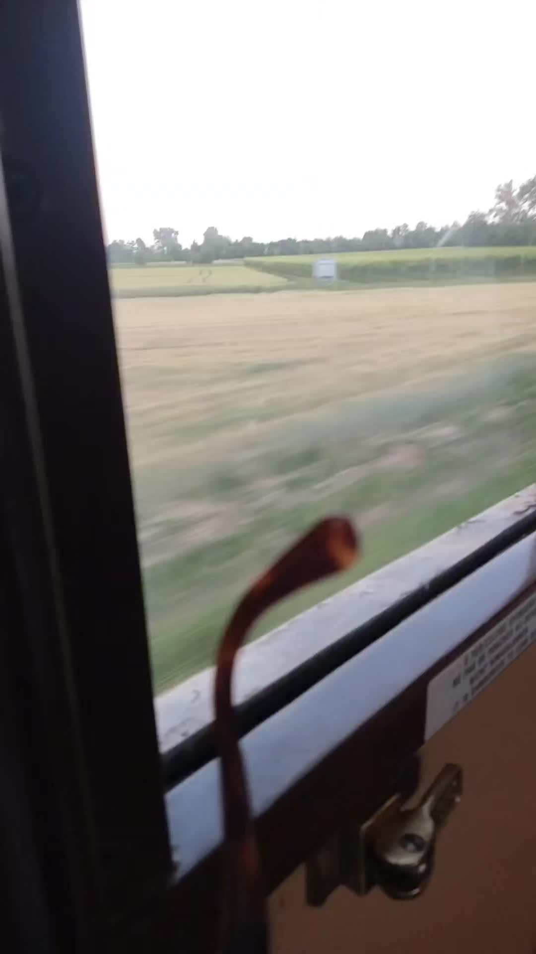 @Gianluca Bianco