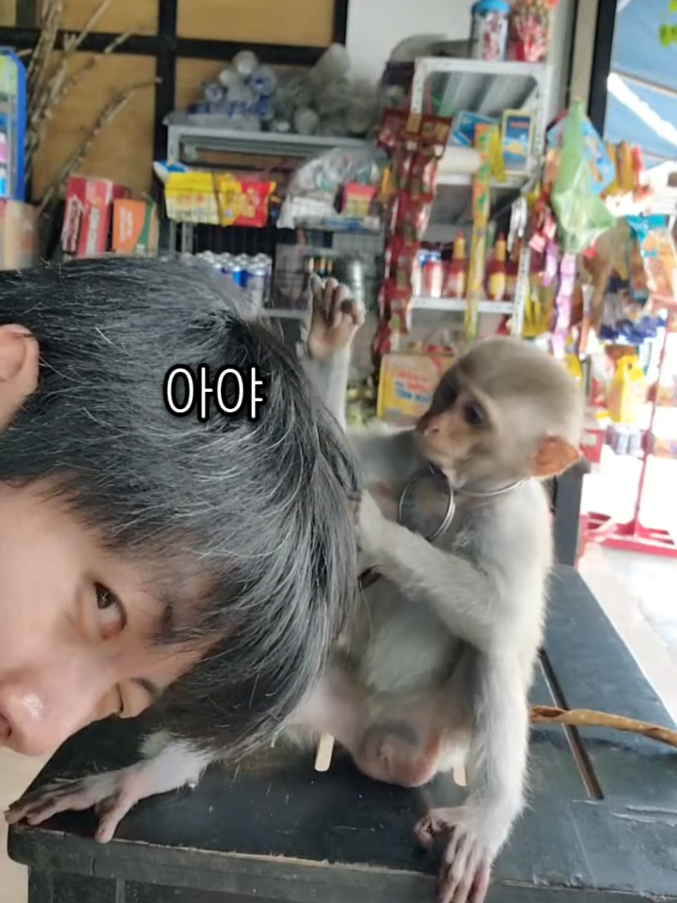 @황녕하세유 HU_on_trip