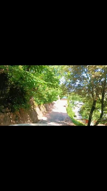 @🍁꧁༒☬ کشمیری ☬༒꧂🍁