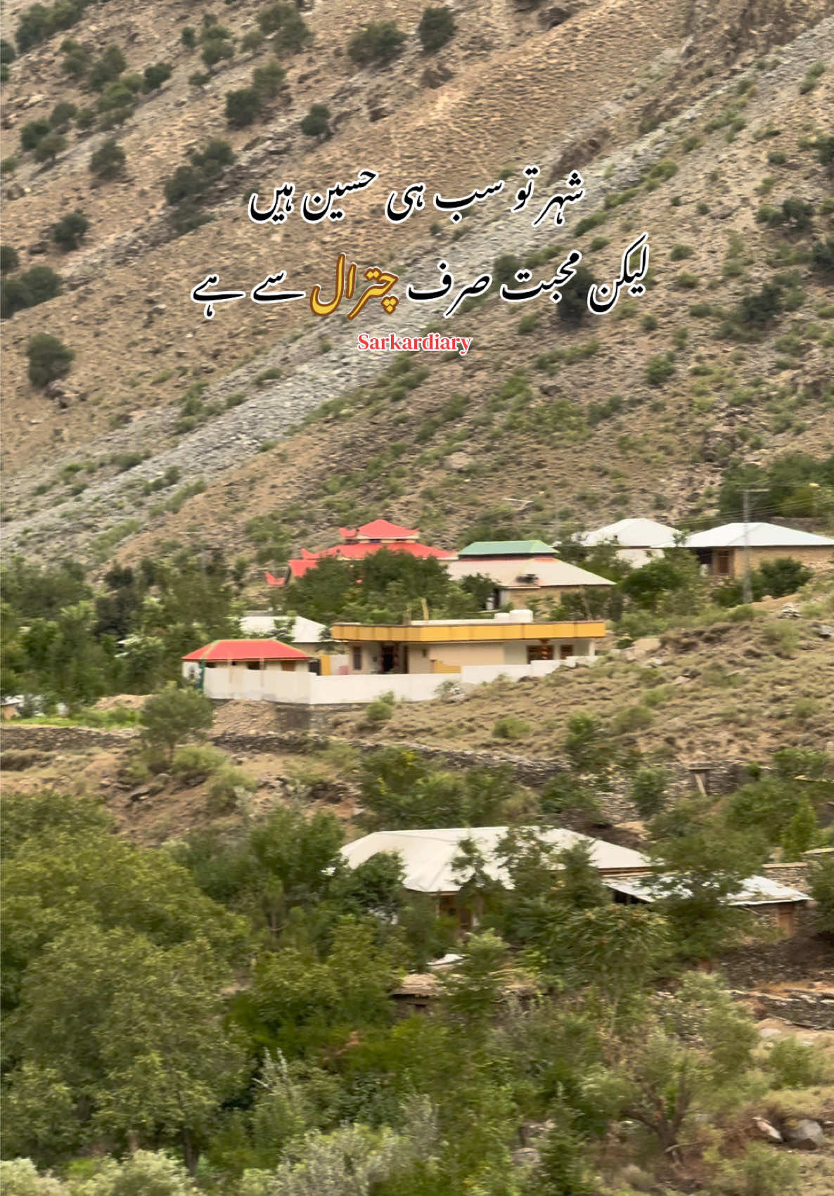 @🦋س ر ک ا ر 🦋