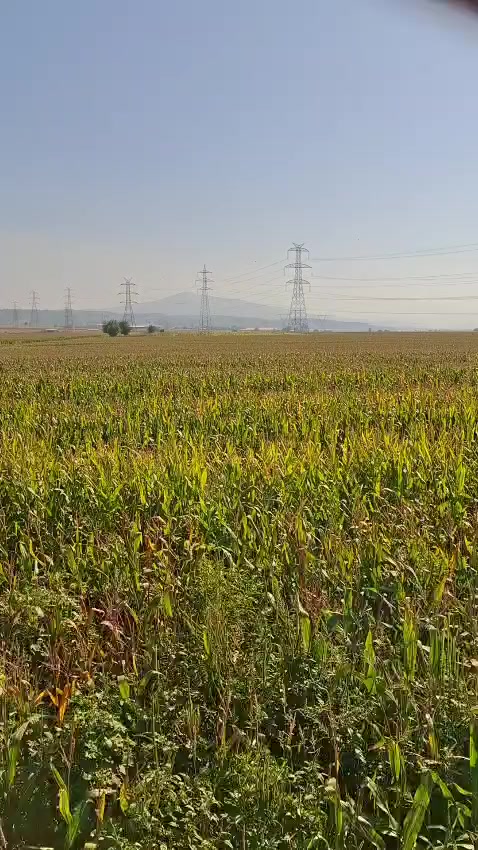 @ilyas Bayrambeğ