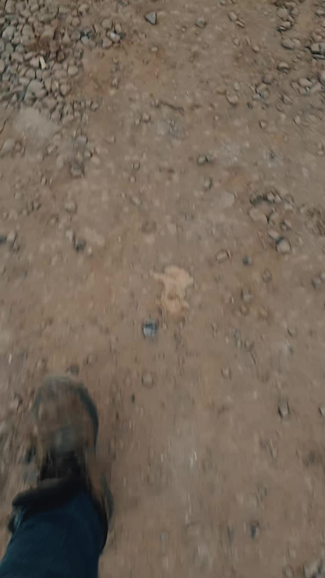 @𝗠𝗲𝗴🦈𝗹𝗼𝗱𝗼𝗻