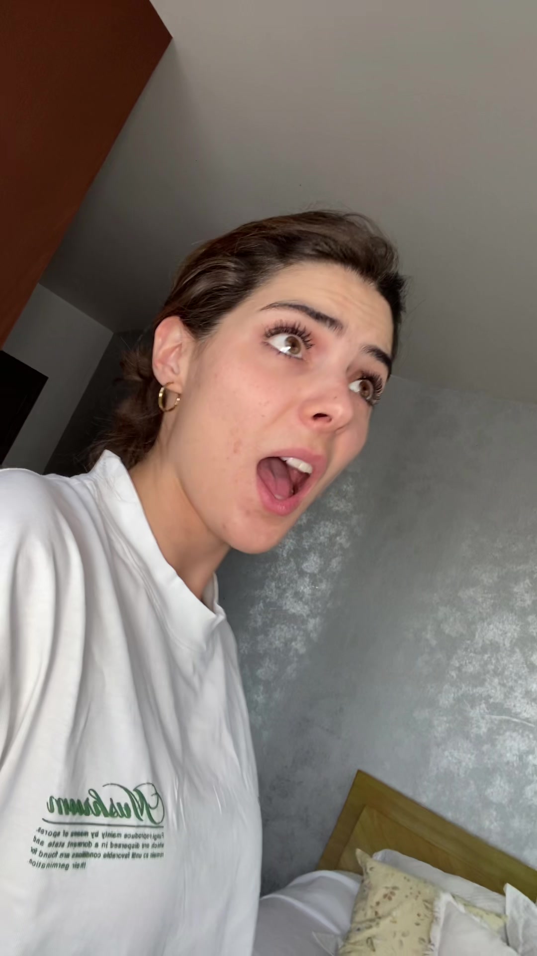 @Luisa Kuri