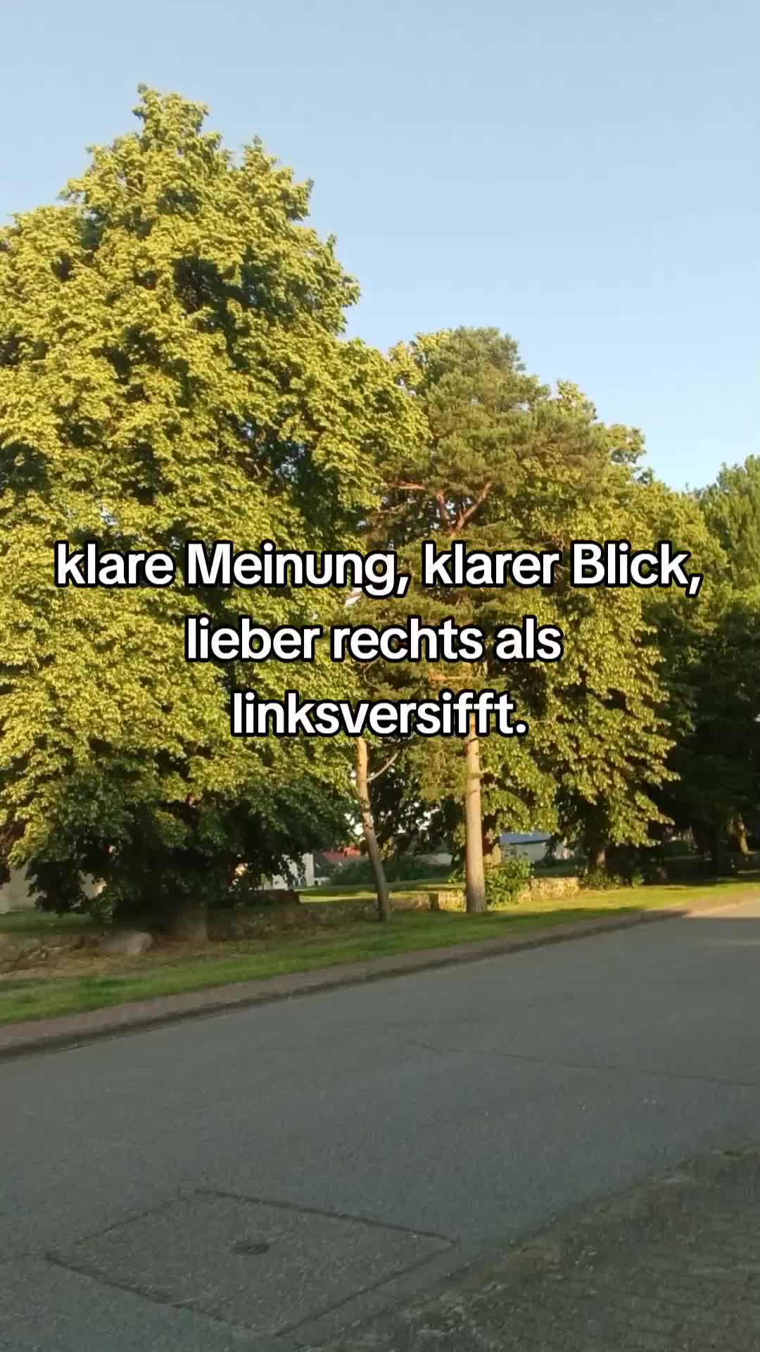 @fynn 🇩🇪💙🫸🏳️&zwj;🌈