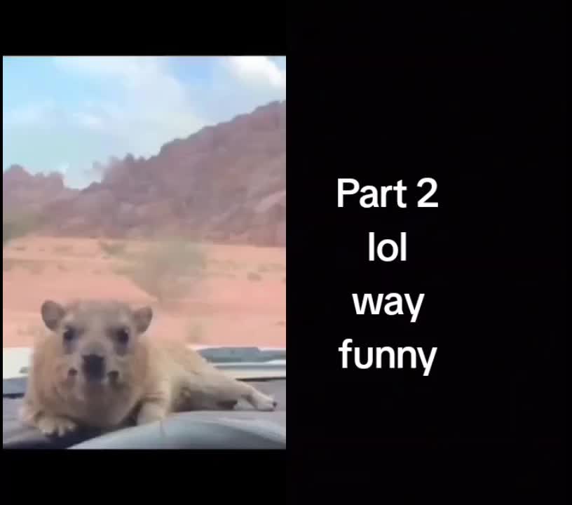@PaigeWarlock