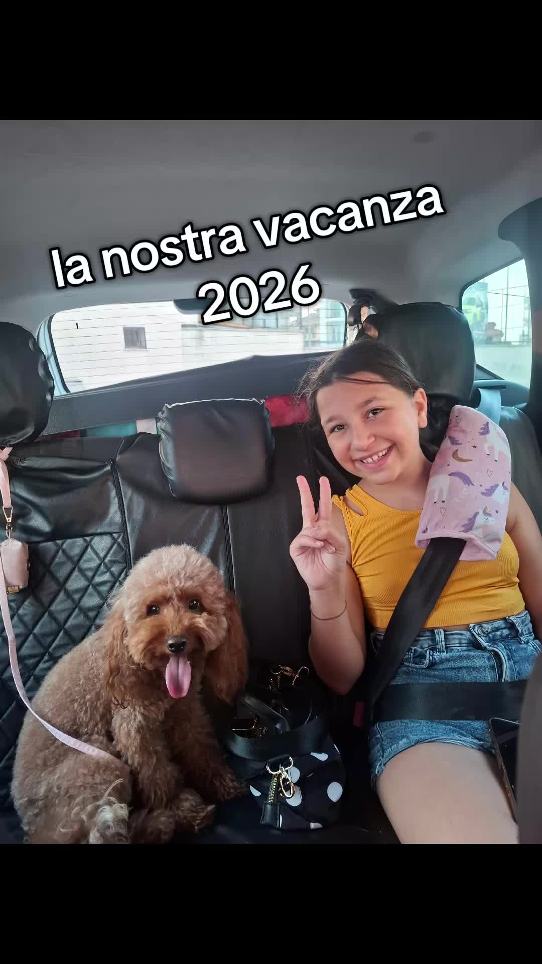 @MenaPalmieri