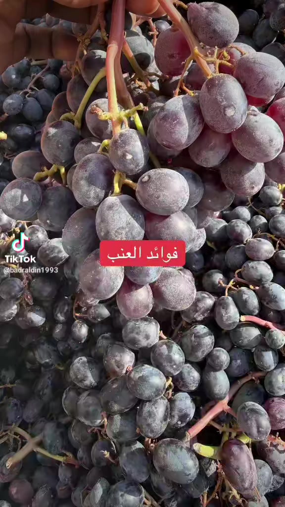 @عٌأّأّأّأشٍقِ أّلَعٌيِّوِوِوِن