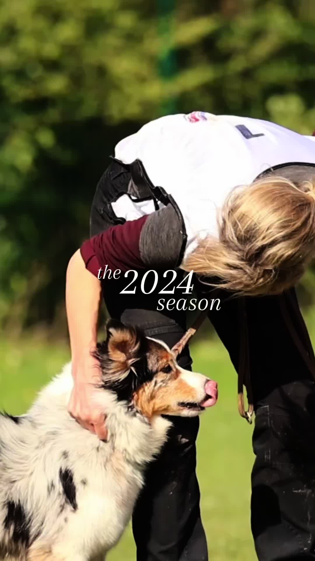 @thedogsportscoach