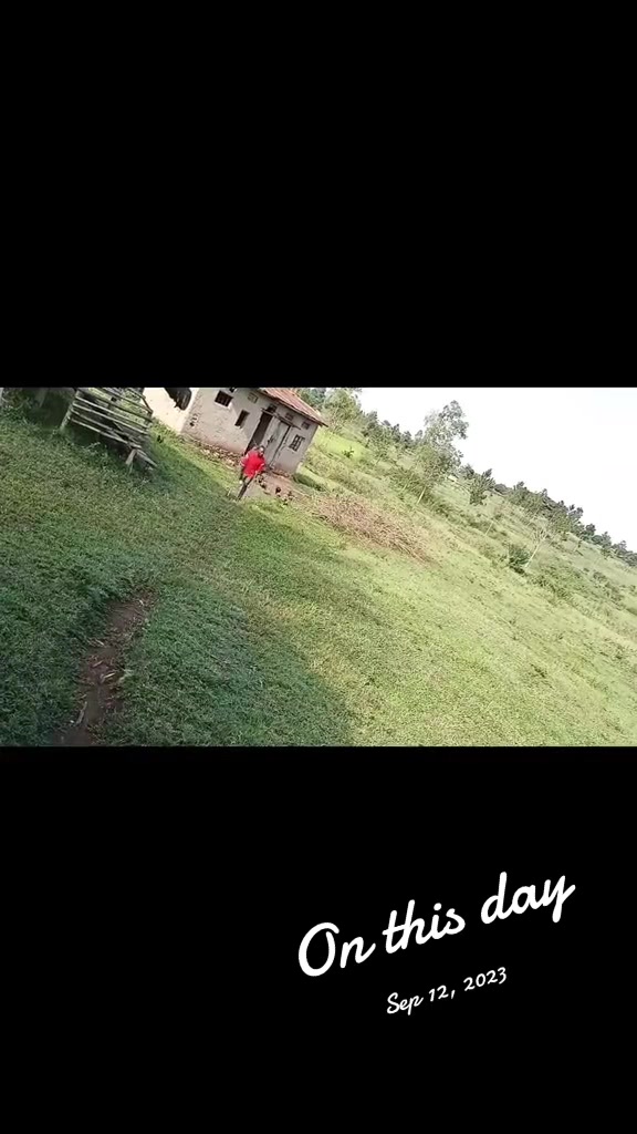 @mzee chicks ug