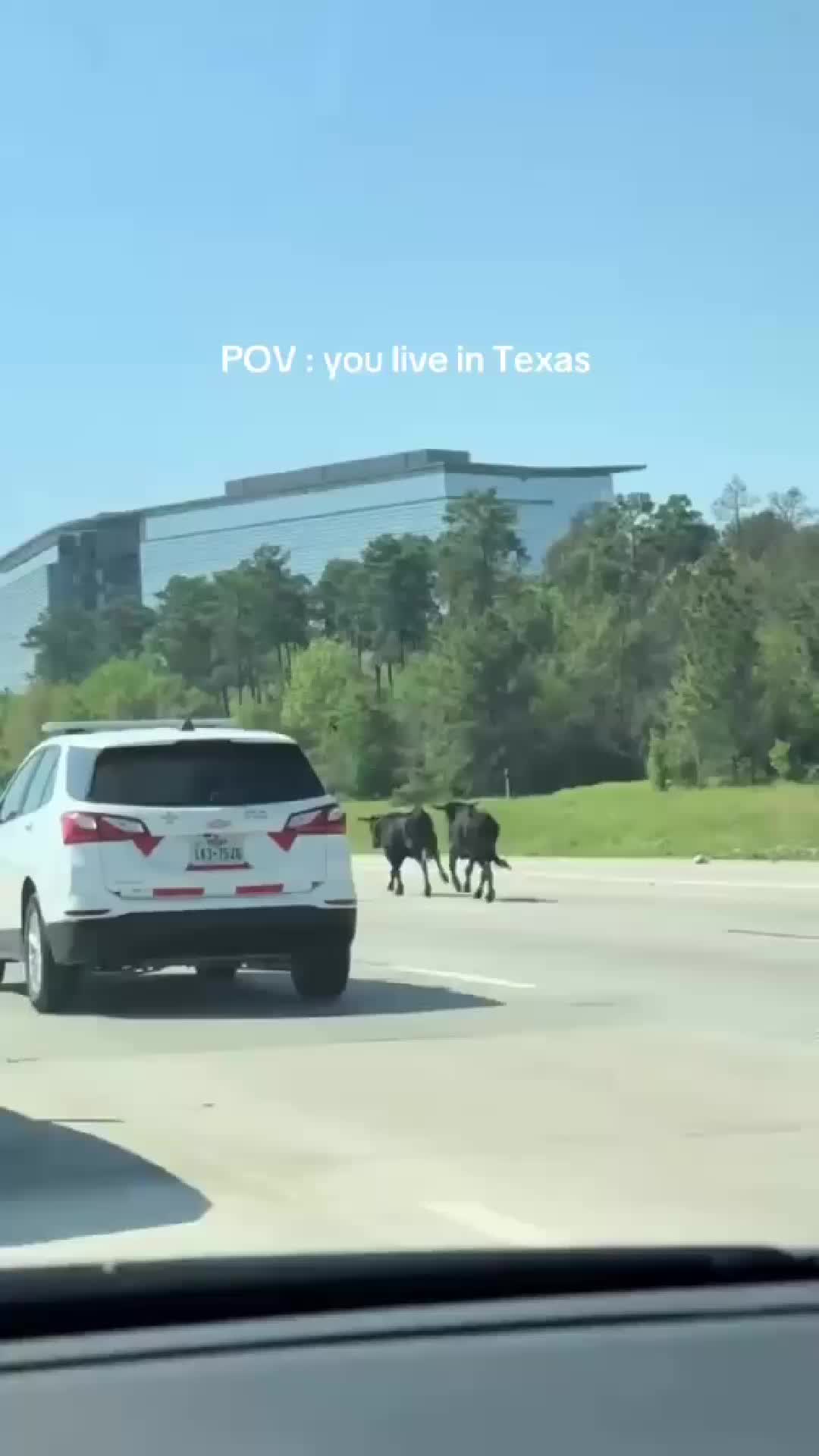 @LoneStarLive