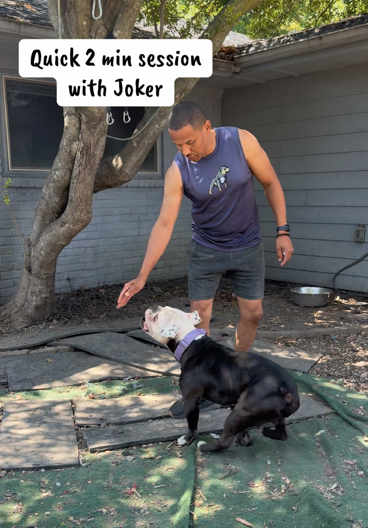 @Better Best Dog