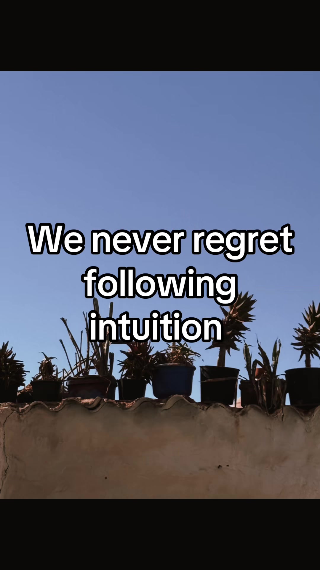 @A. L.