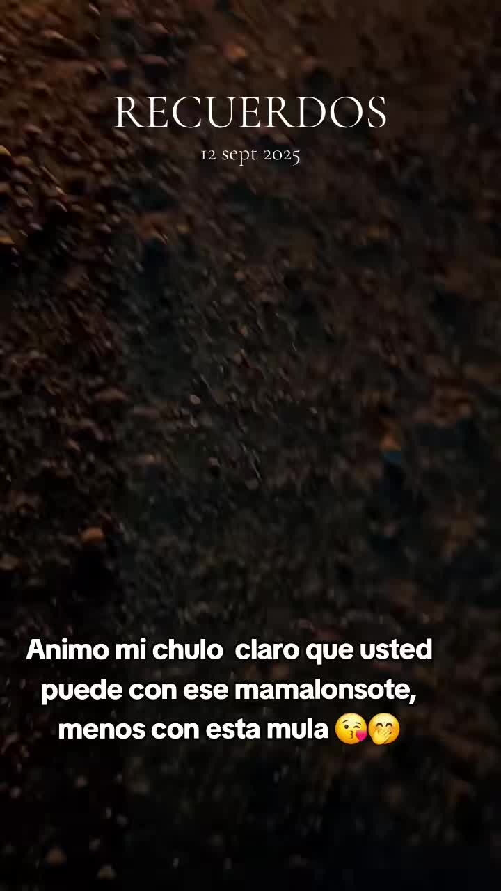 @SilRey11_🚛