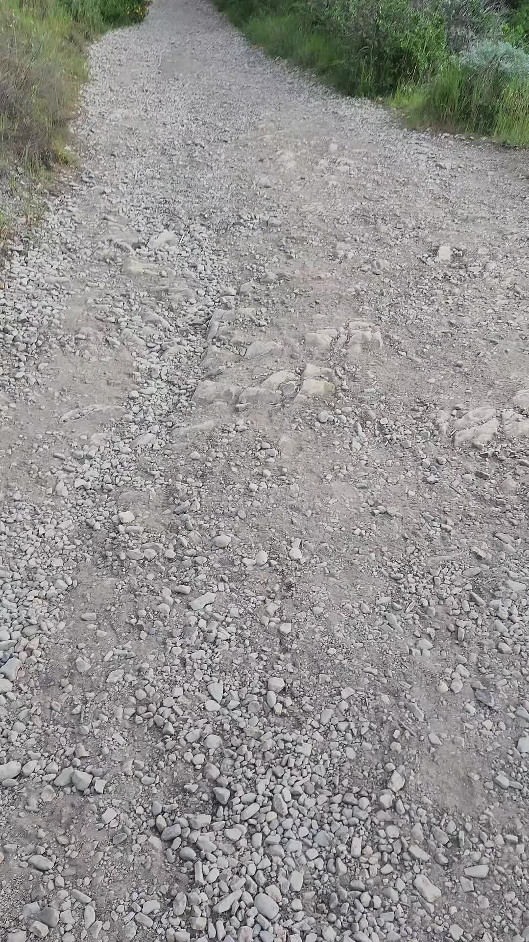 @EL DE GUANAJUATO...