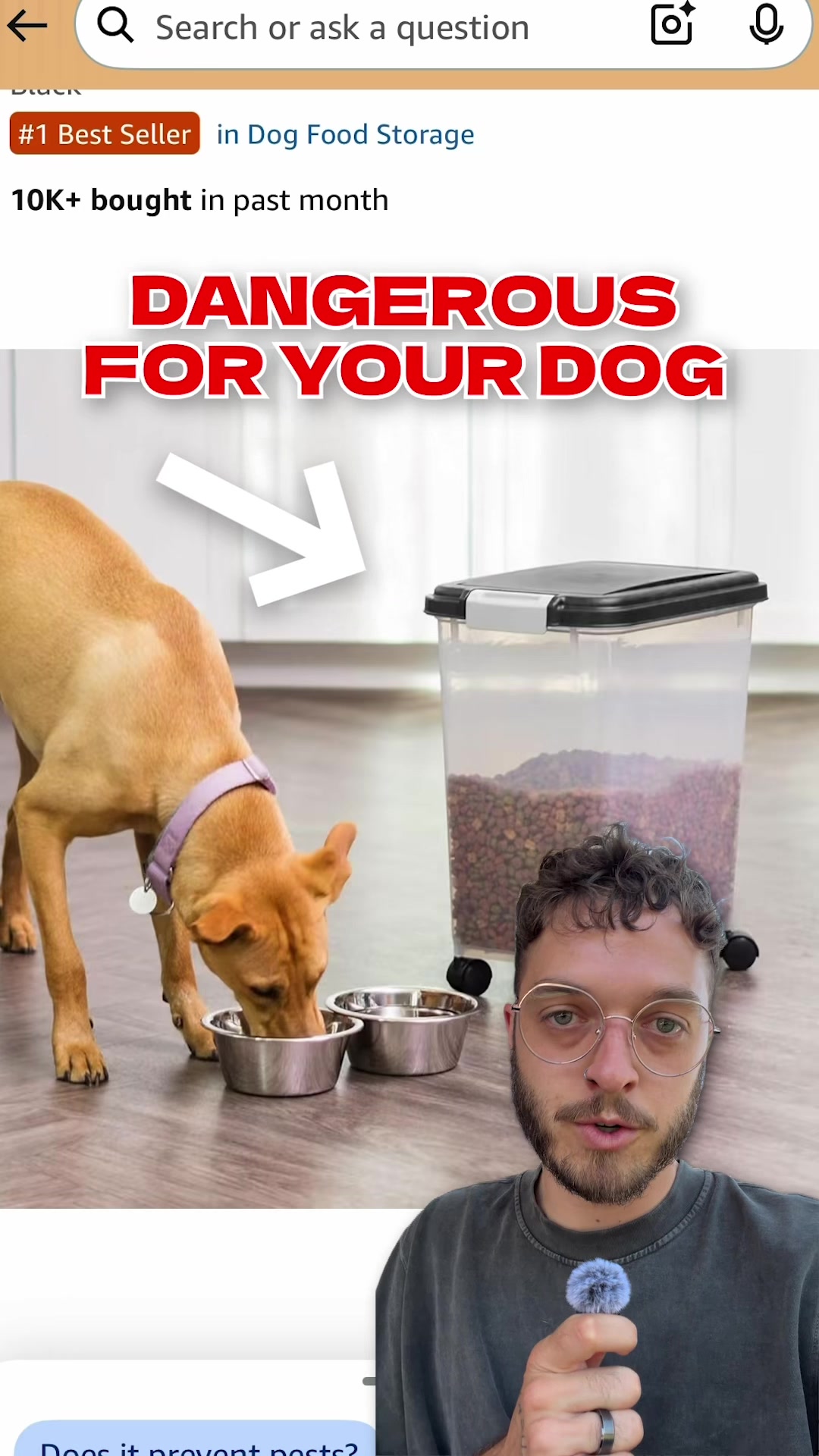 @The BK Pets - Dog Food Tips