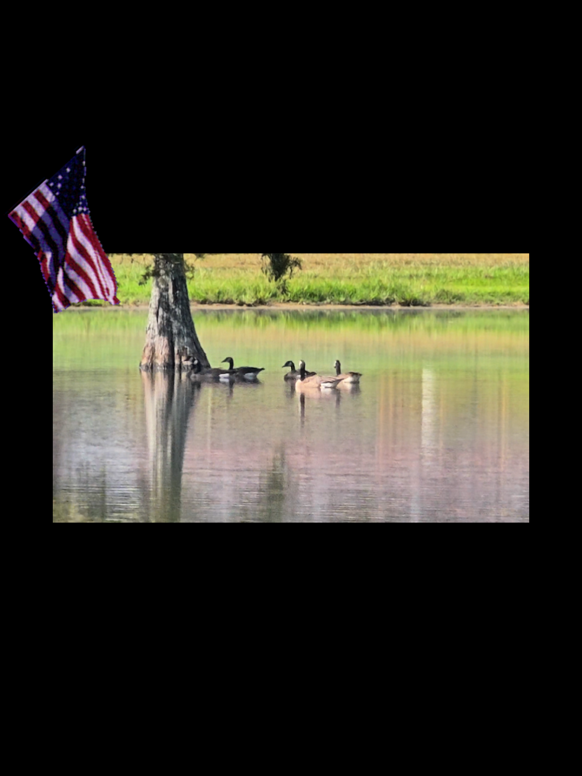 @🦅StreamWeaver76.2🇺🇲