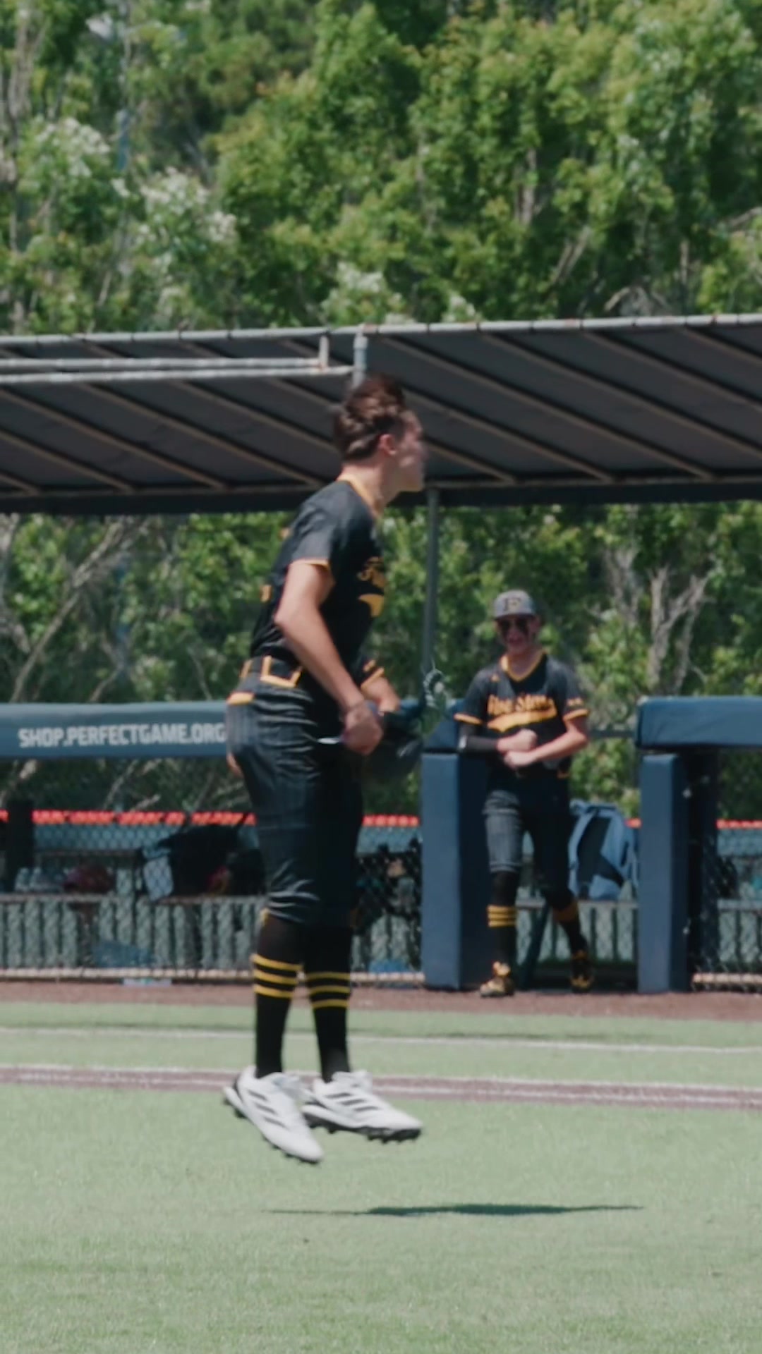 @Perfect Game