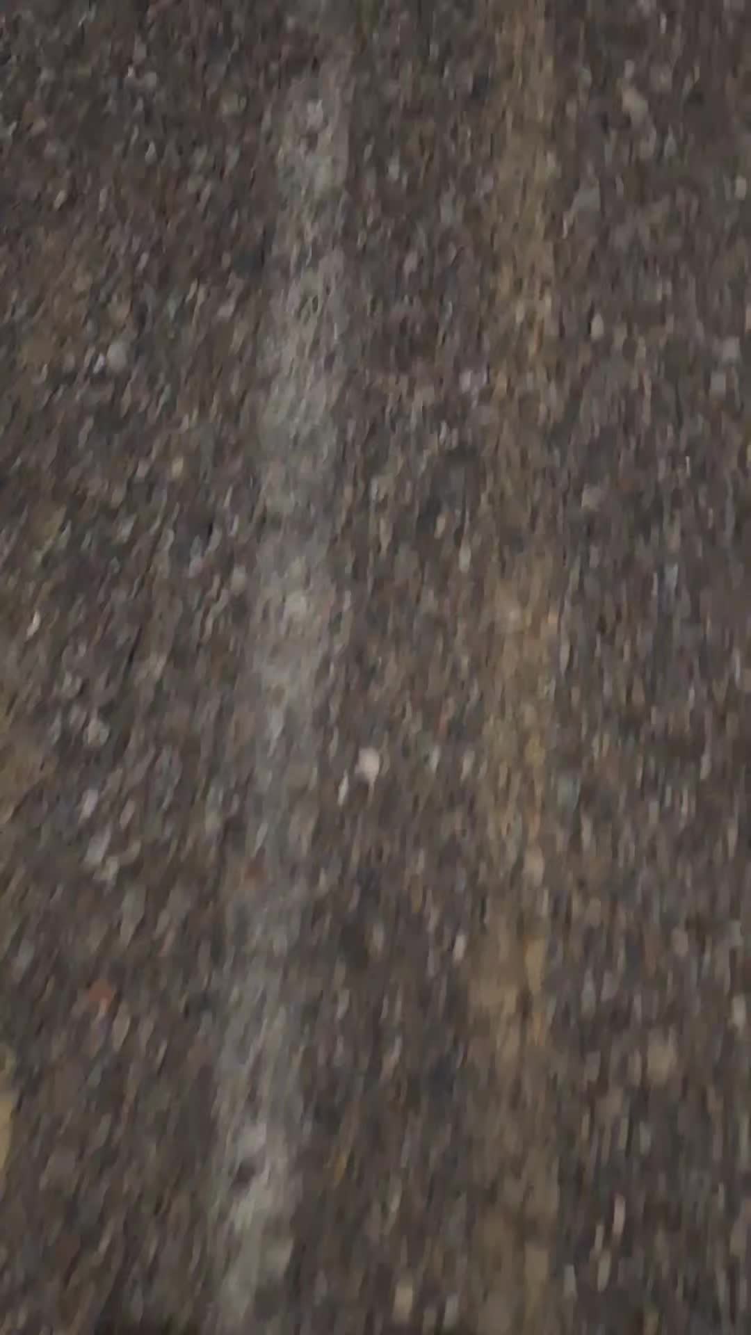 @3.7Eleven