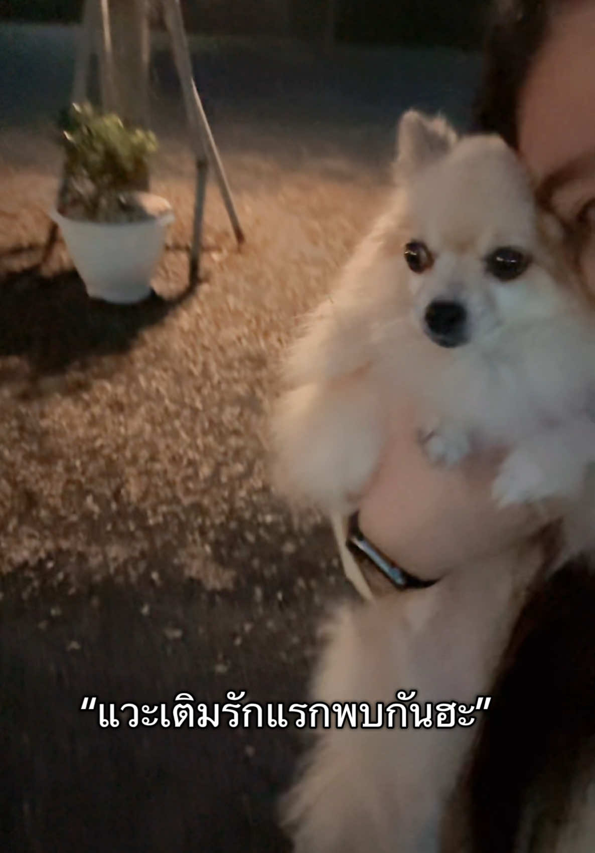 @นัทเกิดมาเพื่อเต้น 🌷🐰