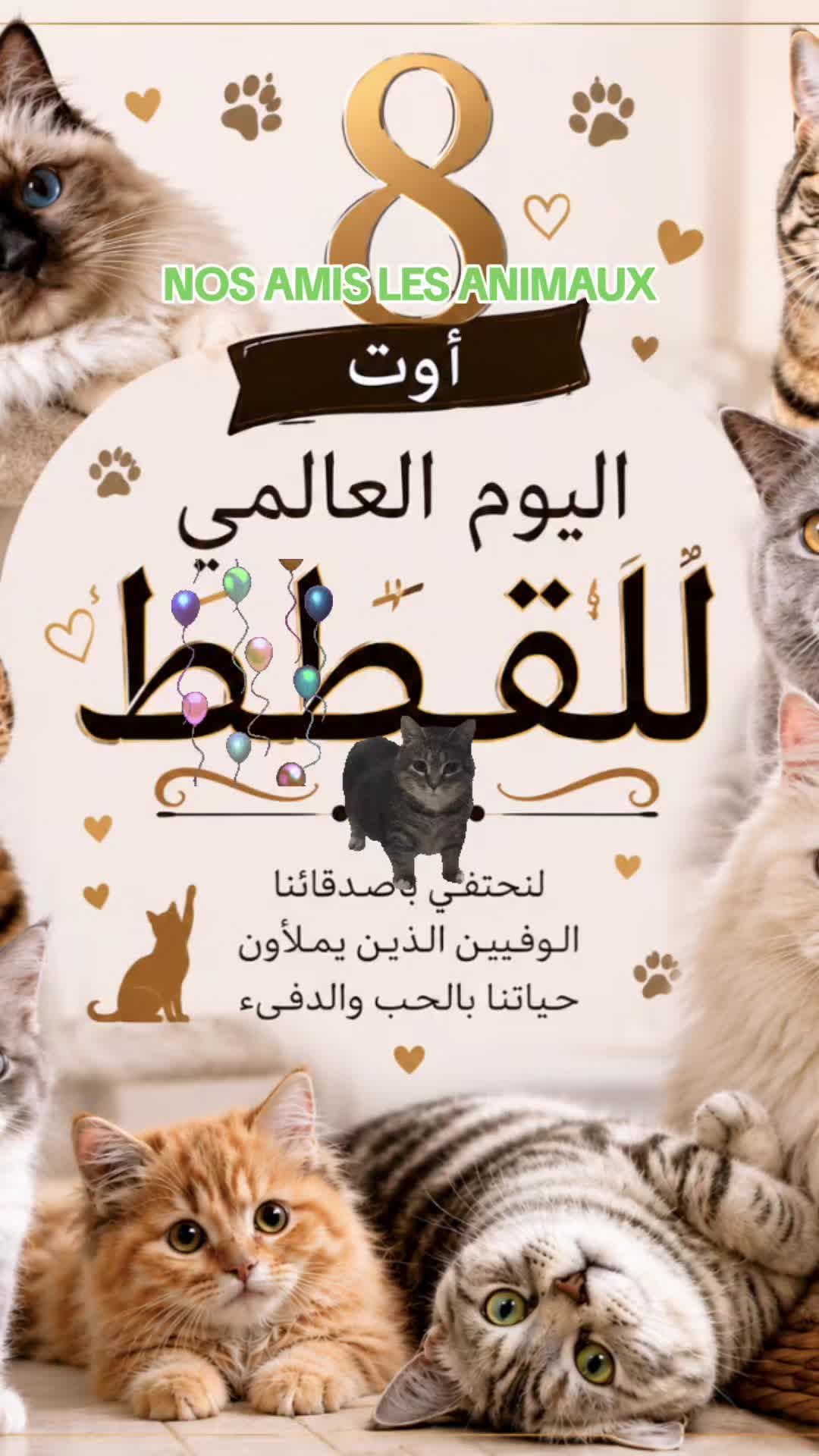 @CHAOUIA.DZ