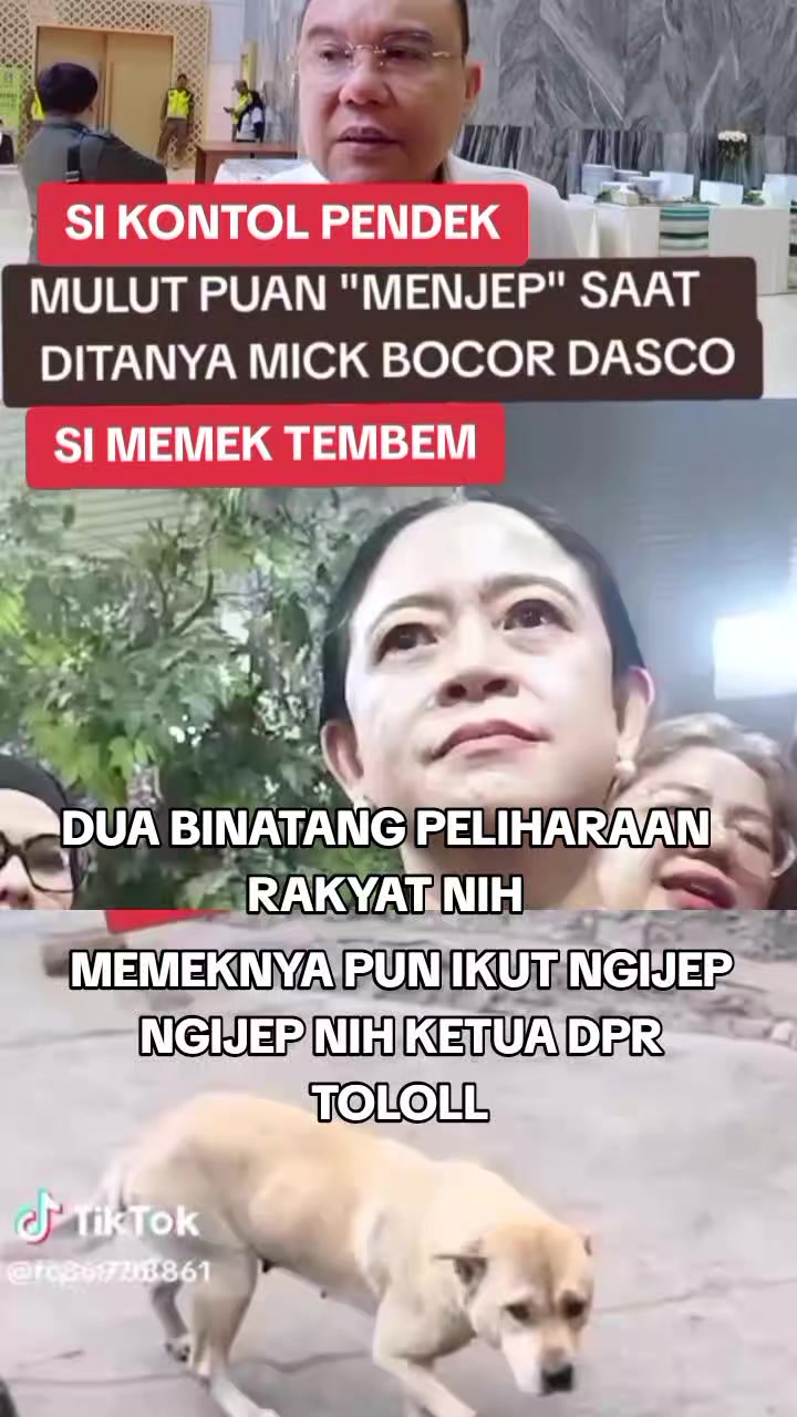 @๐ฆ
๐๐๐๐ ๐๐๐๐ ๐ฌ๐ฎ๐ฆ