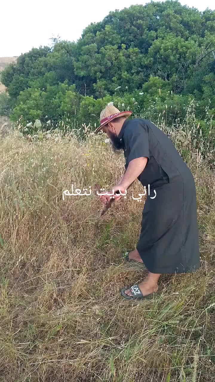 @قناة التوحيد