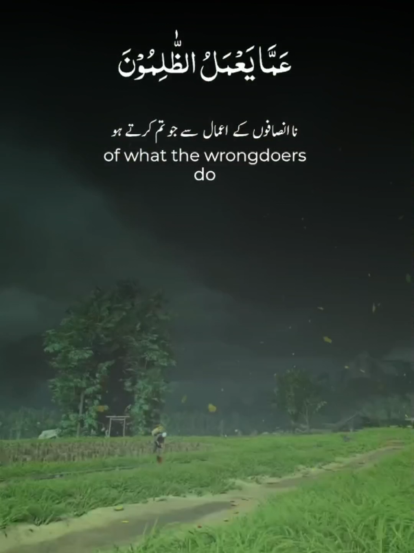 @ISLAMIC VIDEOS