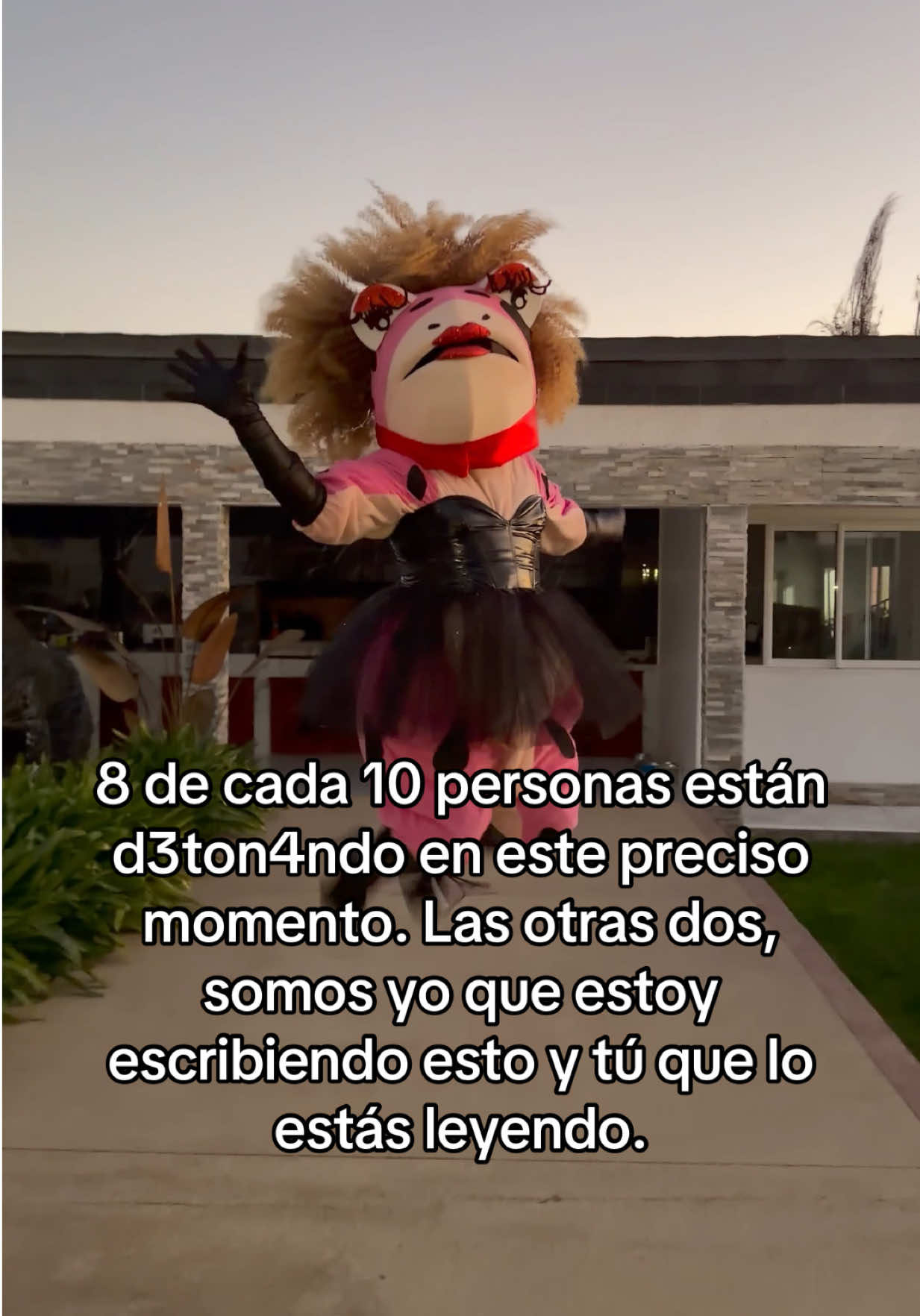 @Las Anfidivas
